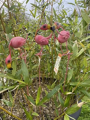 Set Of 3 Flamingo Garden Stakes Garden Decoration • £16.99