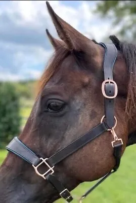 Anatomic Leather Halter Brass Pads For Horses • $69.99