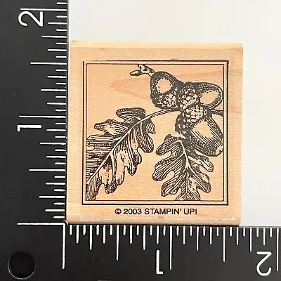 Stampin Up Acorns Oak Leaves Square Frame 2003 Wood Mounted Rubber Stamp • $3.19