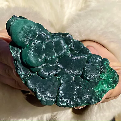 465G Natural Glossy Malachite Coarse Cat's Eye Cluster Rough Mineral Sample • $23.50