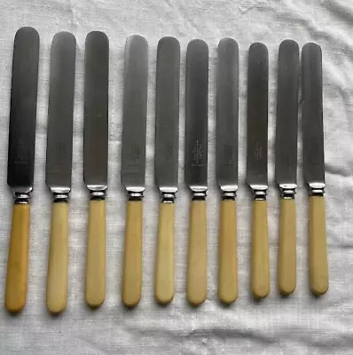 10 X Mappin & Webb Dinner Butter Knives Faux Bone Stainless 24cm/9.5inches • £4.99