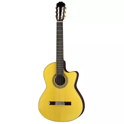 K.Yairi CE-1 NS Electric Classical Guitar With Hard Case • $1574