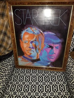 Star Trek Picture Frame • $50