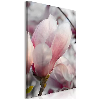 MAGNOLIA FLOWERS Canvas Print Framed Wall Art Picture Photo Image B-B-0470-b-a • $39.99