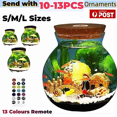 $45.55 • Buy Mini Aquarium Fish Tank LED Lights Lamp Small Viewing Fish Glass Bottle Decor AU