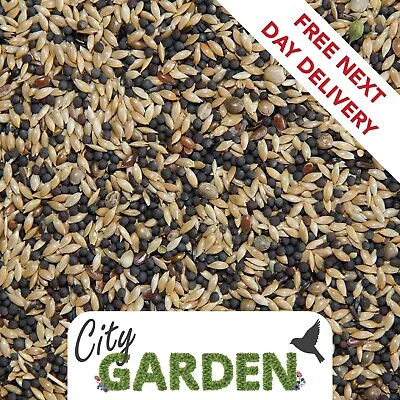Standard Mixed Canary 20kg Bamfords Seed Food Containing Linseed Hemp Niger • £35.99