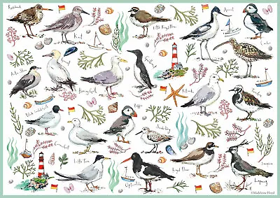 500 Piece Jigsaw - Madeleine Floyd Seabirds • £14.98