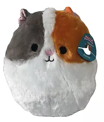 $34.98 • Buy Squishmallows 12  Everett Guinea Pig Fuzz A Mallow Pet Plush New Stuffed Pillow