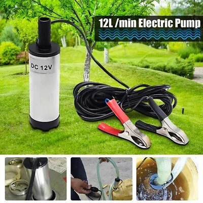 DC 12V Electric Submersible Pump Water Pump For Water/Diesel Oil Transfer 38mm • £8.95