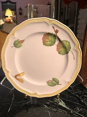 Villeroy & Boch Parkland Salad Plate • $22