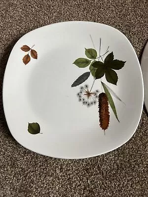 Midwinter Stylecraft Riverside 6 Dinner Plates Very Small • £5