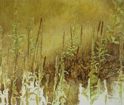 Vintage Art Robert Bateman Goldfinch Mullein Golden Meadow's Edge Mallard Duck • $12.24