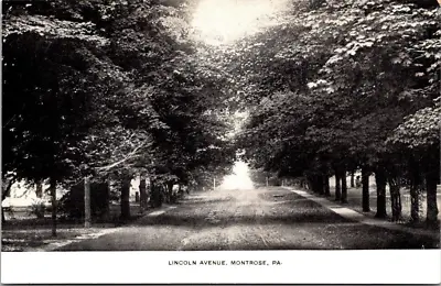 Montrose Pa~Lincoln Ave. Tree Lined Country Road~Postcard~c1907 • $5.99