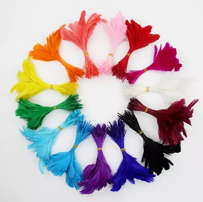 10pcs 13-20cm Stripped Goose Feathers 13 Colour Choice DIY Craft Millinery • $5.56