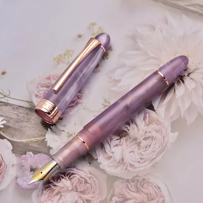 Kaigelu 356 Purple Resin Fountain Pen Iridum EF/F/M Nib Golden Clip Office Pen • $24.83