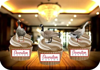 Goose Trio Mix 12 Edible STANDUP Cake Toppers Decoration Birthday Farm Animal • £3.49