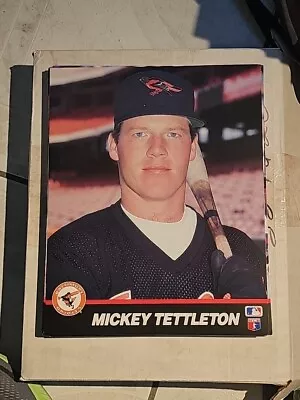Mickey Tettleton  8x10 Photo - MLB Baltimore Orioles  • $5