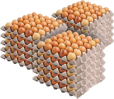 Egg Crates (15 Pack) Recyclable Quail Egg Cartons Chicken Holds Up To 30 Eggs • $30.29