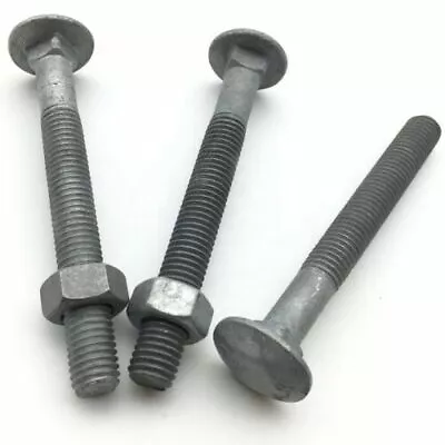 £22.10 • Buy M12 Hot Dipped Galvanised Coach Bolt Cup Mushroom Head Carriage Bolt FREE NUT