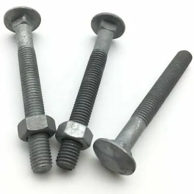 M12 Hot Dipped Galvanised Coach Bolt Cup Mushroom Head Carriage Bolt FREE NUT • £22.10