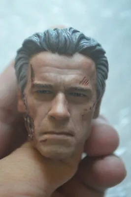 £29.99 • Buy 1/6 Arnold Schwarzenegger OLD Terminator Damaged T800 Head Sculpt For 12 Figure
