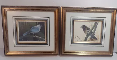 Two Mario F Fernandez Framed S/N Bird Prints Bluebird & Tanager 1984 Ltd Eds. GC • $19.99