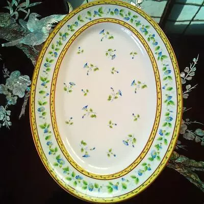 Raynaud Limoges Morning Glory Oval Plate 35.5cm X 26cm • $130.50