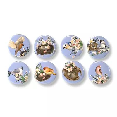 Set Of 10 Wild Birds With Nest 1 Inch Magnets For Fridge Kitchen Whiteboard • $9.95