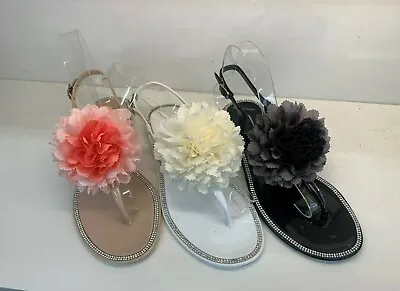 £7.99 • Buy Womens Ladies Flip Flops Soft Shower Pool Jelly Beach Sandals Mules Slider Shoes