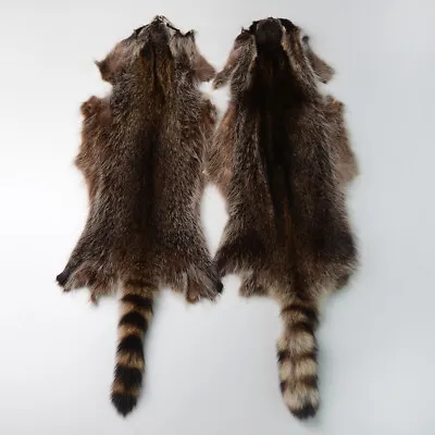 1X Genuine Raccoon Pelt Skin Fur Hide Tanned Leather DIY Craft Material Clothing • $42.74