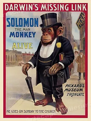 Man Monkey! Darwin's Missing Link! 1908 London Circus Poster - 18x24 • $21.83