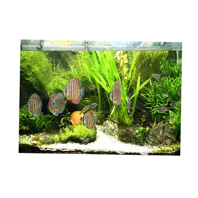 $17.83 • Buy 3D Tropical Fish Aquarium Background Poster PVC Fish Tank Decor Landscape