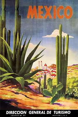 Mexico Tourism Cactus Vintage Travel Poster • $22