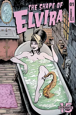 The Shape Of Elvira Mistress Of The Dark Comic No 1 Bath Tub Poster 24x36 Inches • $20