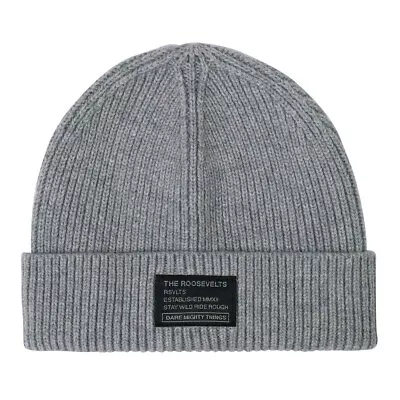 RSVLTS Merino Wool Limestone Beanie Snow Hat New With Tags NWT The Roosevelts • $14.95