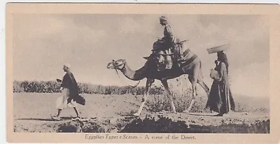 Egypt Postcard Egyptian Types And Scenes A Scene Of The Desert   No 104 N6   B • £1