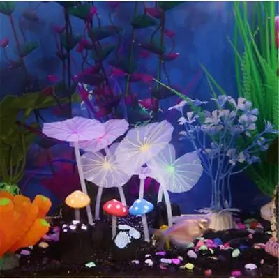 $3.94 • Buy Glowing Artificial Mushroom For Fish Tank Decorative Aquarium Accessories HD