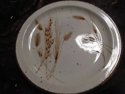 Stonehenge Midwinter Wild Oats ONE Very Lonely Dinner Plate EXCELLENT Condition • $12.99