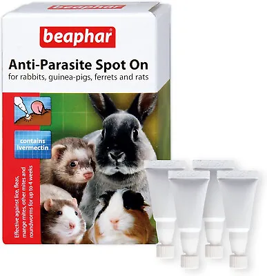 Beaphar Spot On Treatment Small Animal Rabbit Guinea Pig Kills Fleas • £8.99