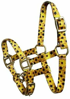 Showman Mini/Foal Premium Nylon Sunflower Halter With Brass Hardware! FREE SHIP! • $19.76