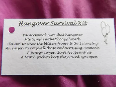 £1 • Buy 10 X Hangover Survival Kit TAGS, Wedding Favours, Hen/Stag Nights, Party Gift