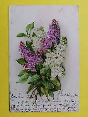 1904 CPA ILLUSTRATION Signed Paul De LONGPRÉ Bouquet De MYOSOTIS • $10.71