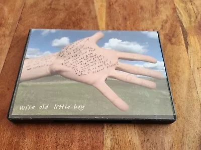 Wise Old Little Boy DVD Documentary  Rare All REGION Microphones & Little Wings • $15