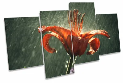 Tiger Lily Flower Rain MULTI CANVAS WALL ART Picture Print • £49.99