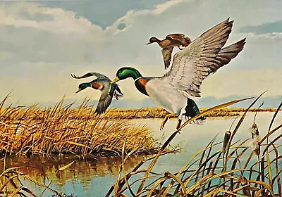 R.J. McDonald Southern Bound Mallard Duck S/N Art Print • $125