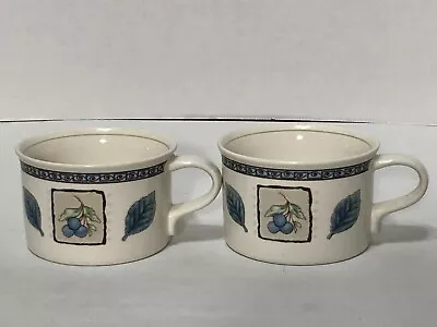 Mikasa Coffee Cups Hot Beverage Mugs Intaglio Garden Prose CA034 2 Set • $5.99