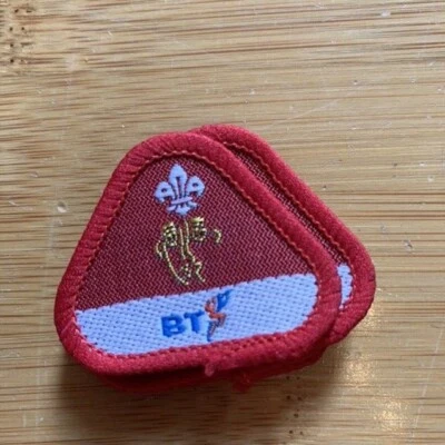 £0.99 • Buy Cub Scout And Scout Badges; 1991-2001 Proficiency; 1977 Silver Jubilee