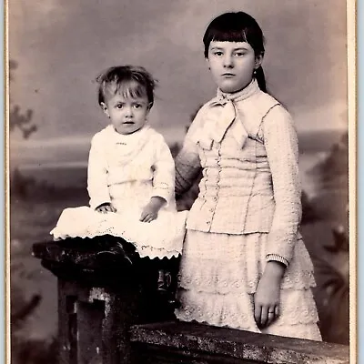 C1880s Mahanoy City PA Young Mother & Child? Cabinet Card Photo Bowman B15 • $18.50