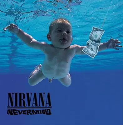 Nirvana Nevermind (Vinyl) 12  Album (US IMPORT) • $67.67