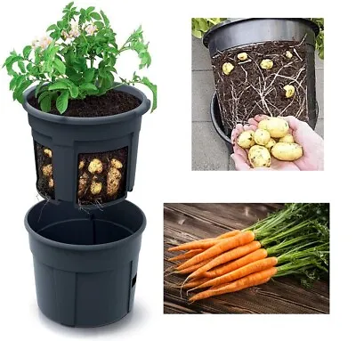 Potato Grower Planter Carrot Growing Grow Vegetable Home Garden Balcony • £14.96